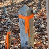LandFix - 9