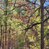 LandFix - 4