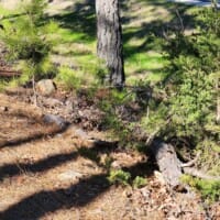 LandFix - 6