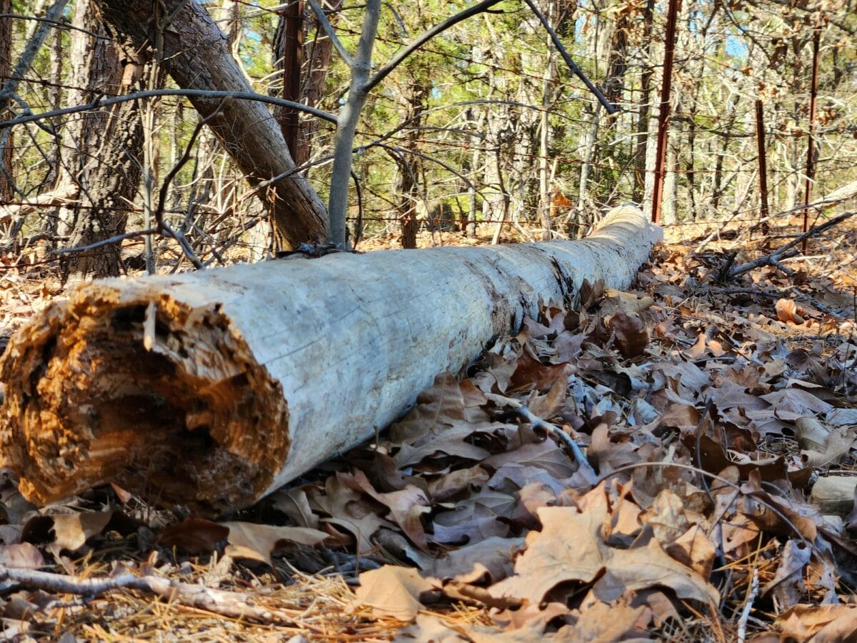 Lot #70 (12ac) - Image 9