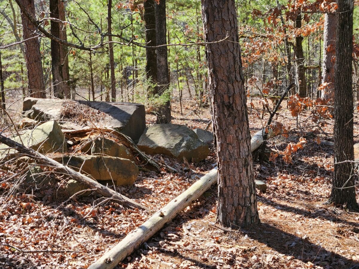 Lot #70 (12ac) - Image 8