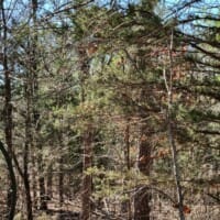 LandFix - 2