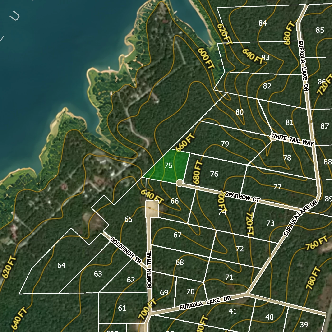 Contour Map