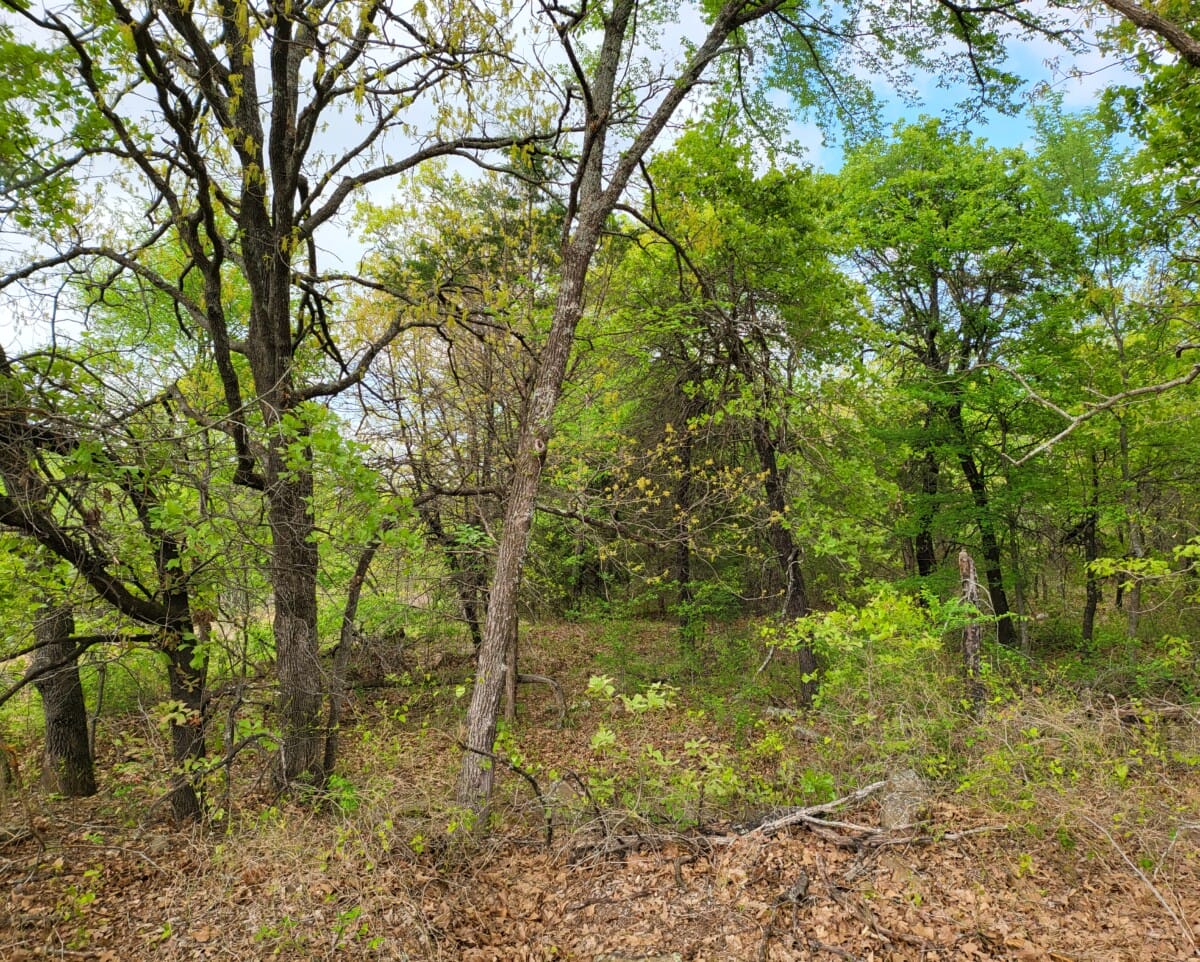 Lot #5 (0.84 ac) - Image 5