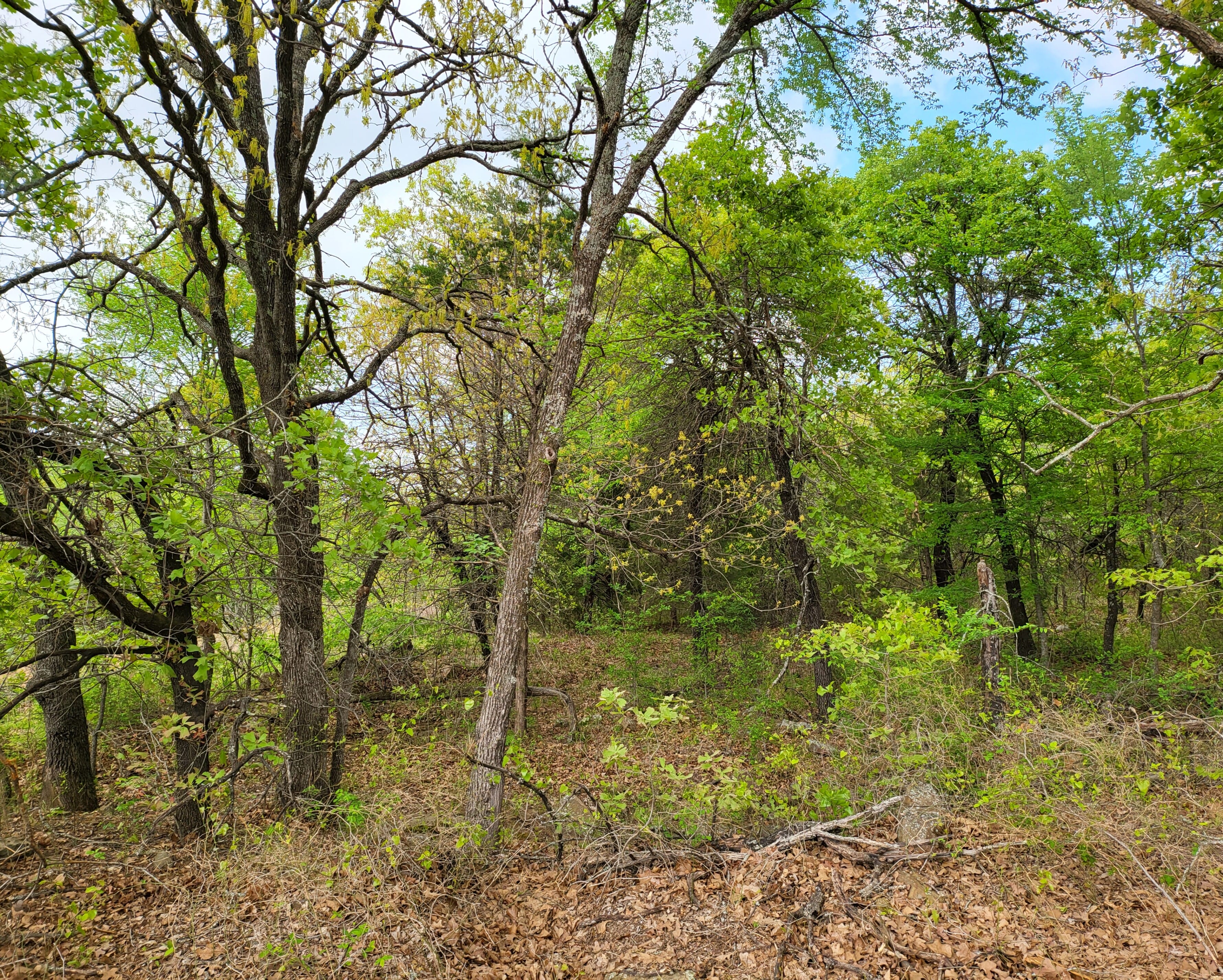 eufaula-lake-private-estates-015 LandFix - 3
