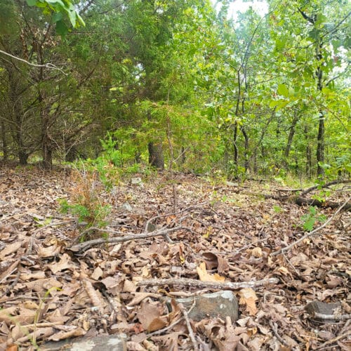 LandFix - 6
