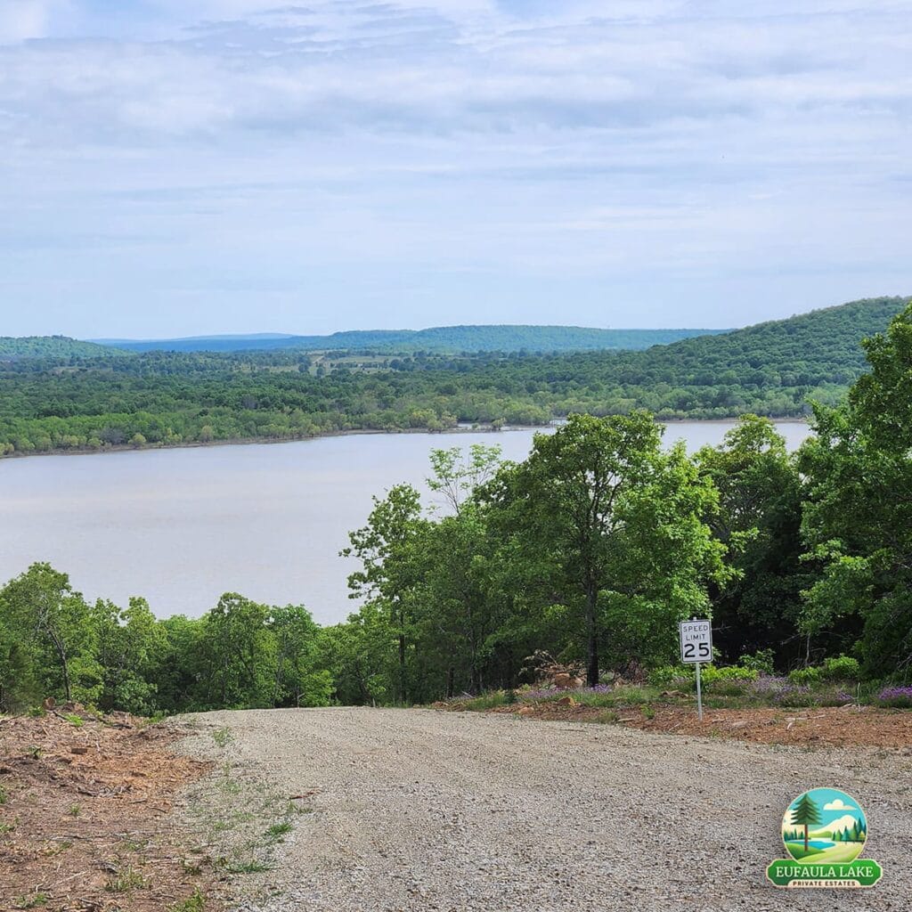 View from Lot 22 on Fosters Trail