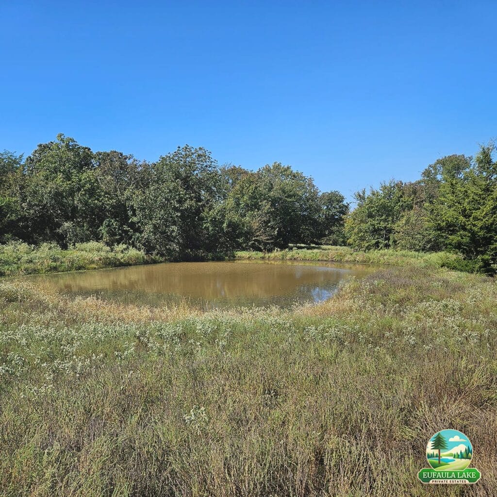 Pond by Sunfish Trail