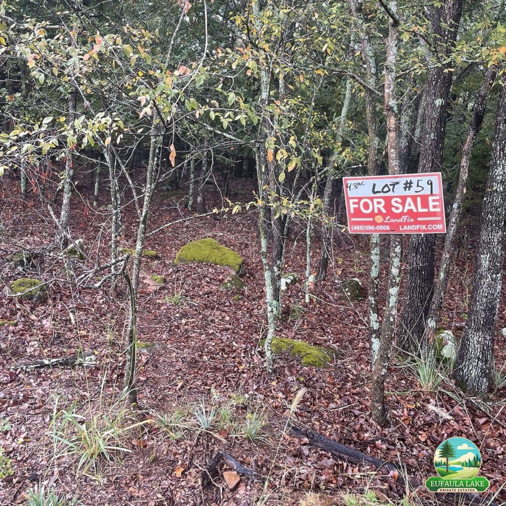 Diverse Terrain by Lot 59