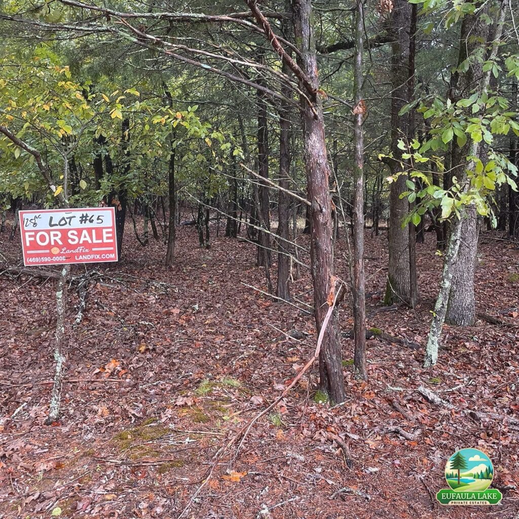 Wooded Terrain by Lot 65