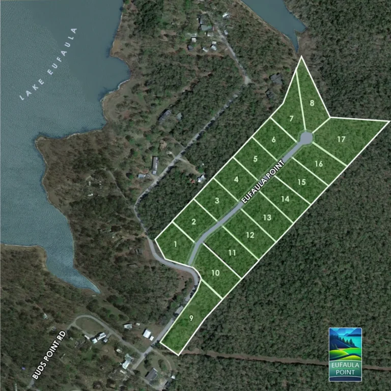 Eufaula Point Layout