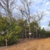 Lot #15 (1.03 ac)