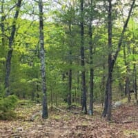 LandFix - 13
