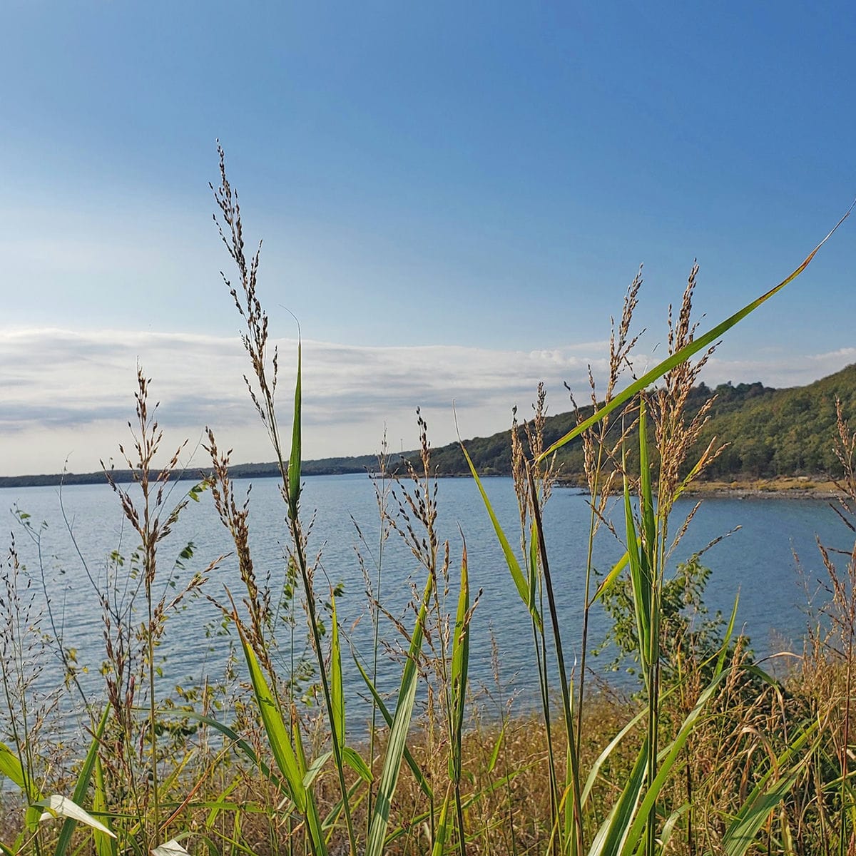 View of Lake Eufaula