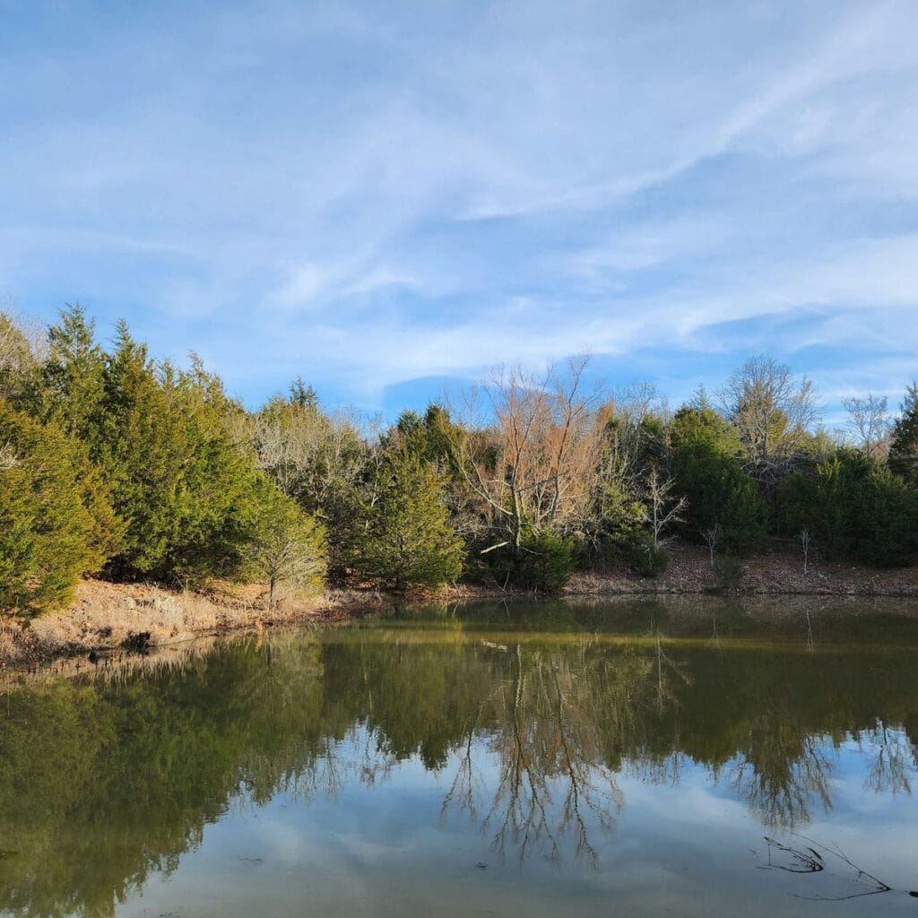 Sunset Trail's Pond