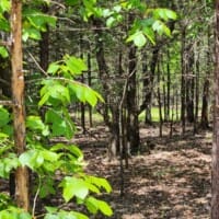 LandFix - 14