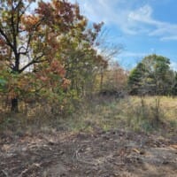 LandFix - 14