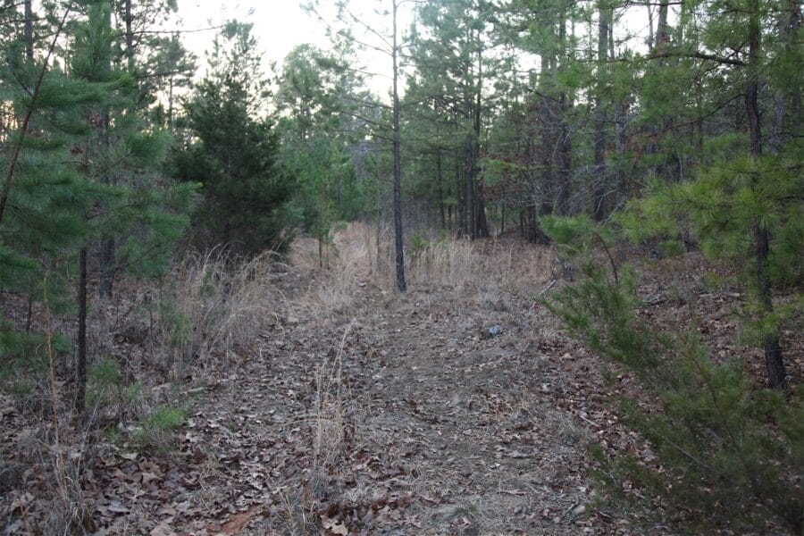 LandFix - 1