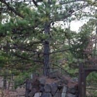 LandFix - 2