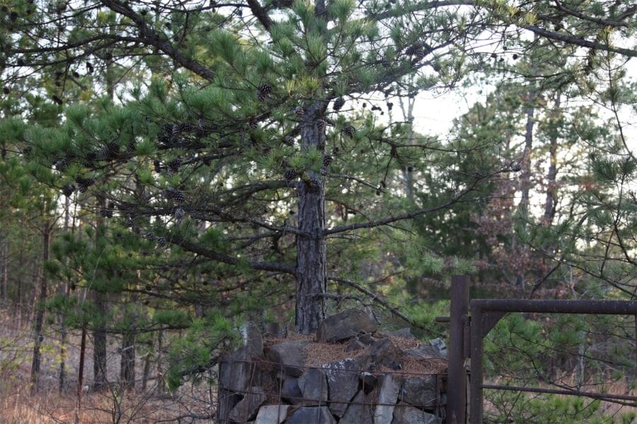 LandFix - 1