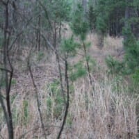 LandFix - 2