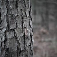 LandFix - 2