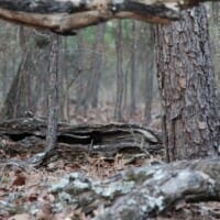 LandFix - 2