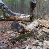 LandFix - 2