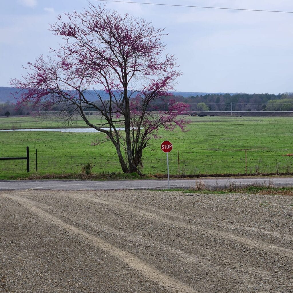 Exiting to Bristow Point Rd