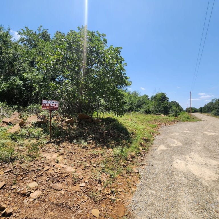 Gallery Photos