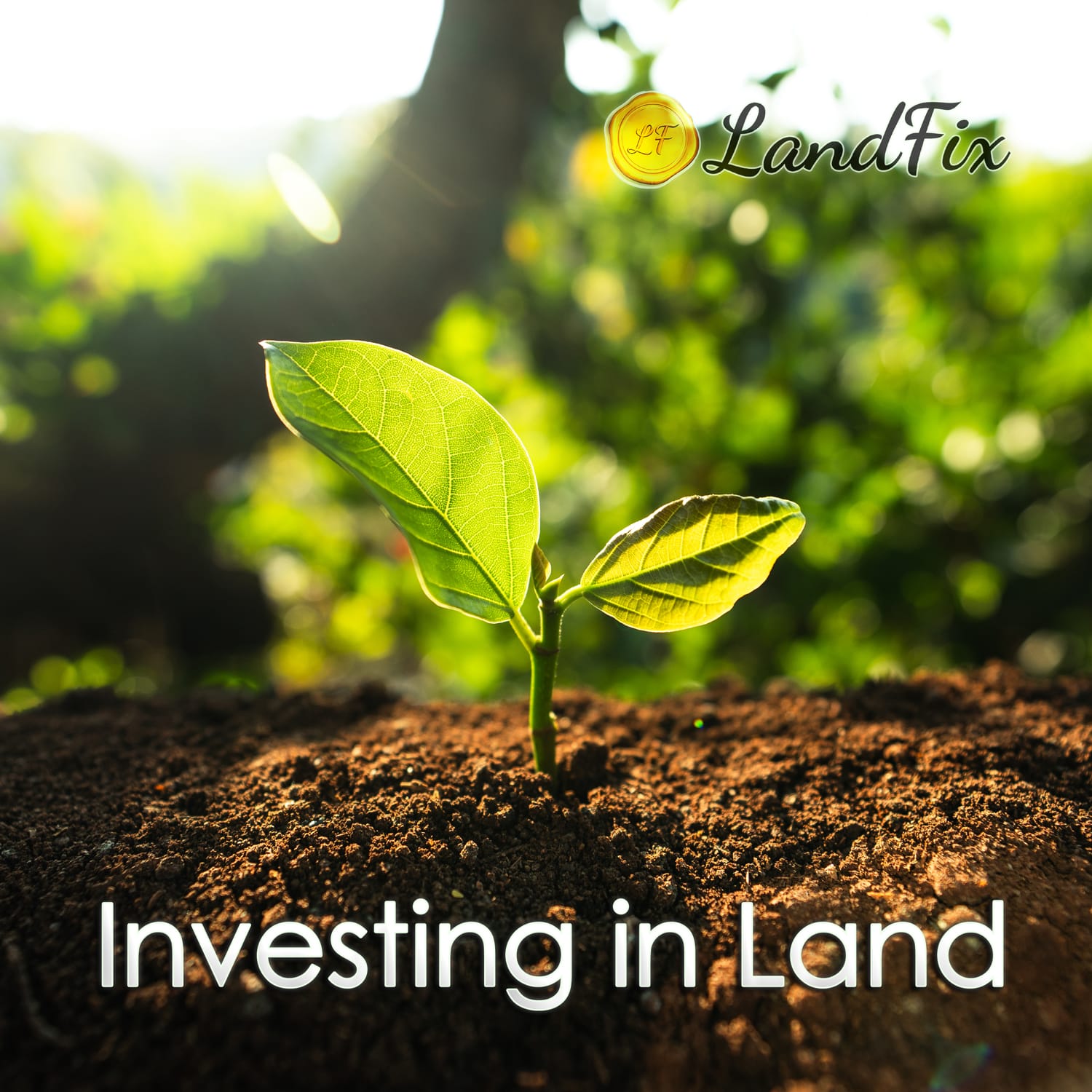 LandFix - 20