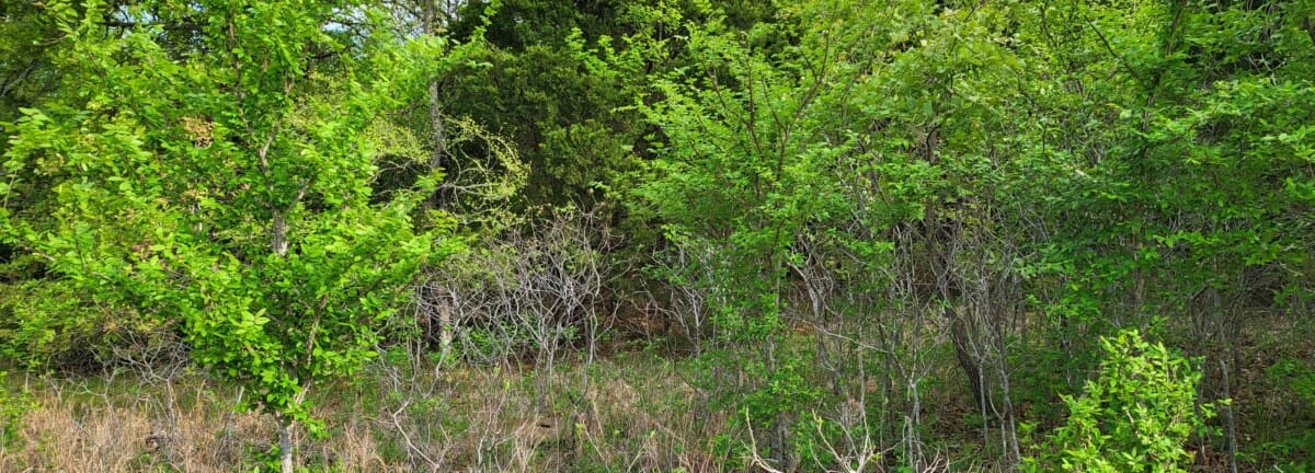 Lot #23 (5.88 ac) - Image 10