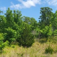 LandFix - 11