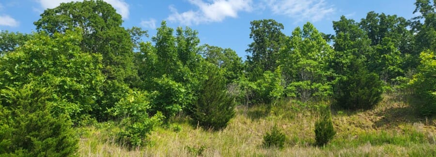 LandFix - 5