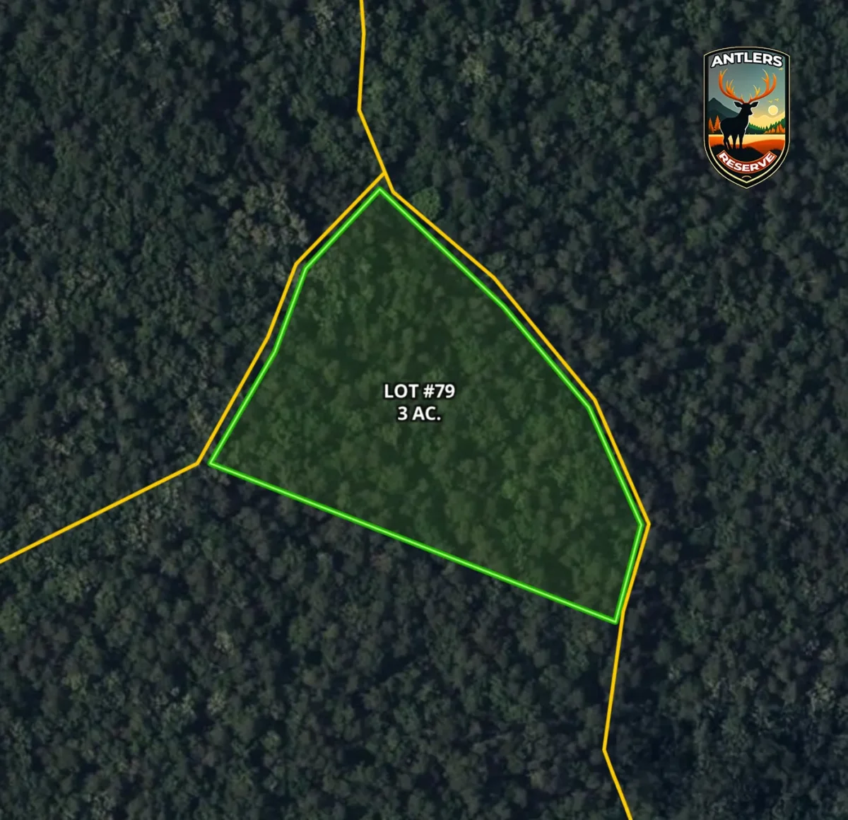 Lot #79 (3 ac)
