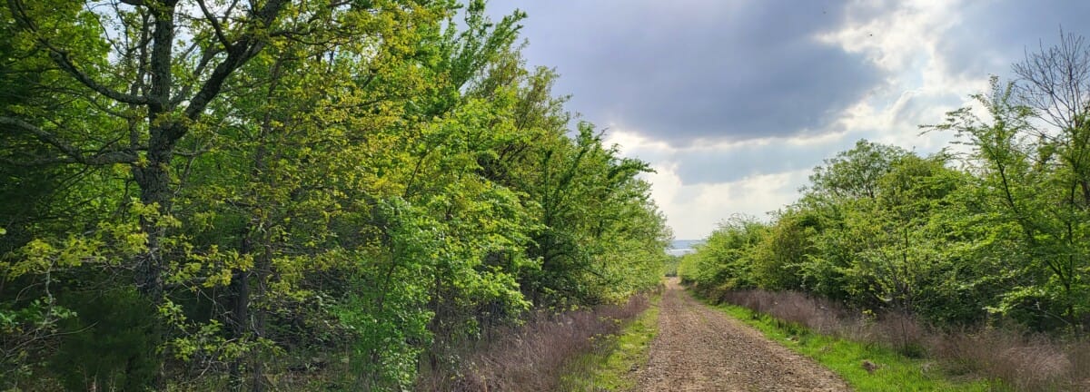 Lot #83 (11.39 ac) - Image 4