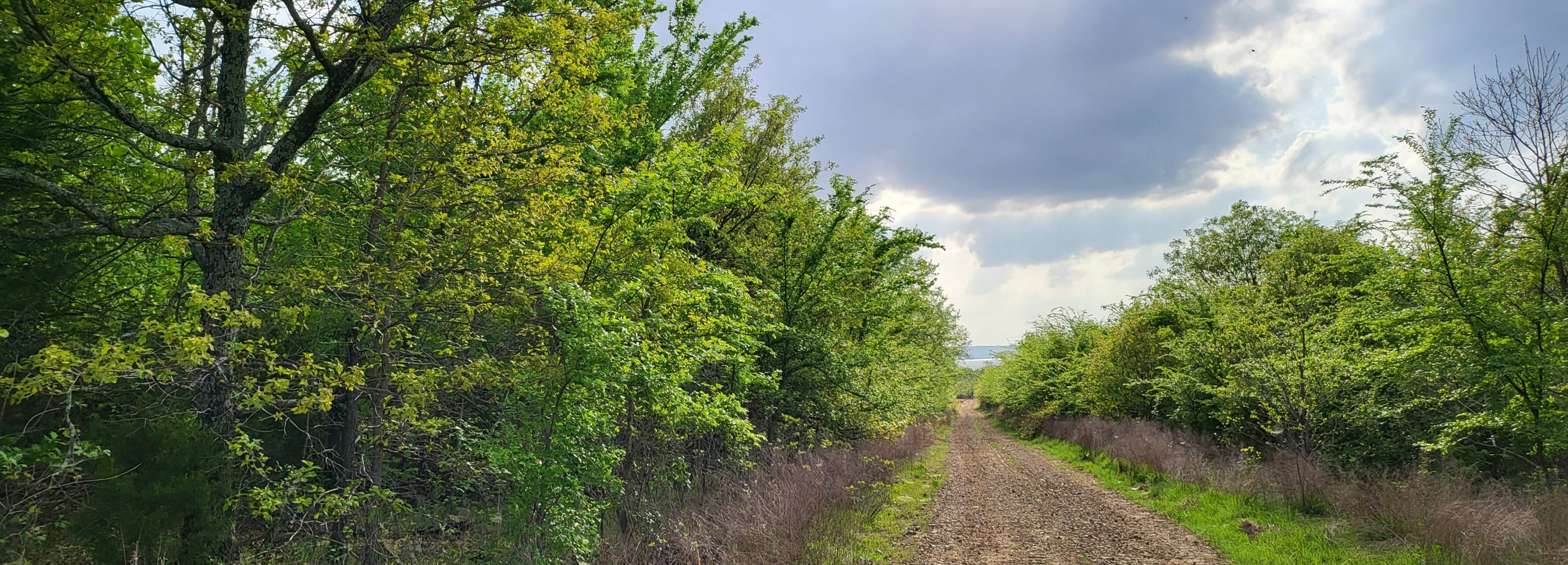 lot 83 – existing access roads LandFix - 1