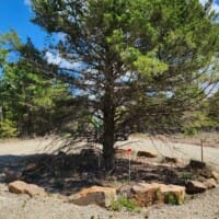 LandFix - 12