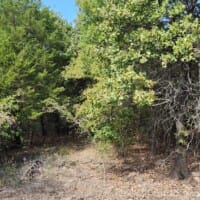 LandFix - 11